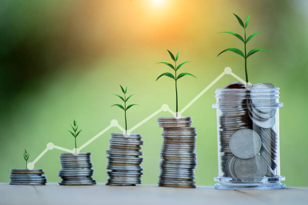 Mutual Fund